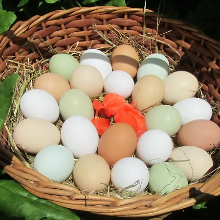 Quintinha - Hébergement de vacances